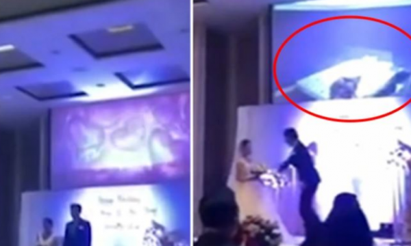 Dhëndri hakmerret ndaj nuses ditën e dasmës, publikon videon ku e tradhton me kunatin e saj