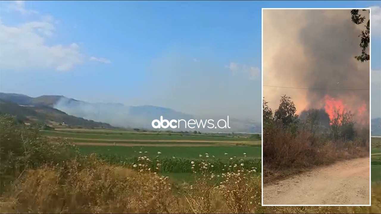 Zjarri në Selenicë shkrumbon dhjetëra hektarë tokë, digjet një banesë