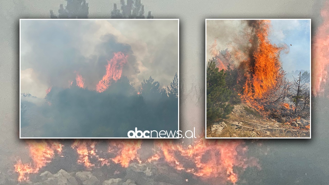 Flakët “përpijnë” zonën pyjore në Mat, terreni vështirëson punën e zjarrfikësve