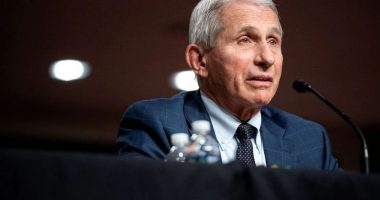 Drejtoi SHBA-të në luftën kundër Covid-19, Anthony Fauci lë postin e këshilltarit kryesor mjekësor të Biden