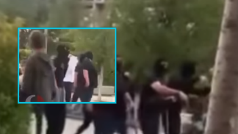 10 persona të maskuar me qen në qendër të Prishtinës, dalin detajet