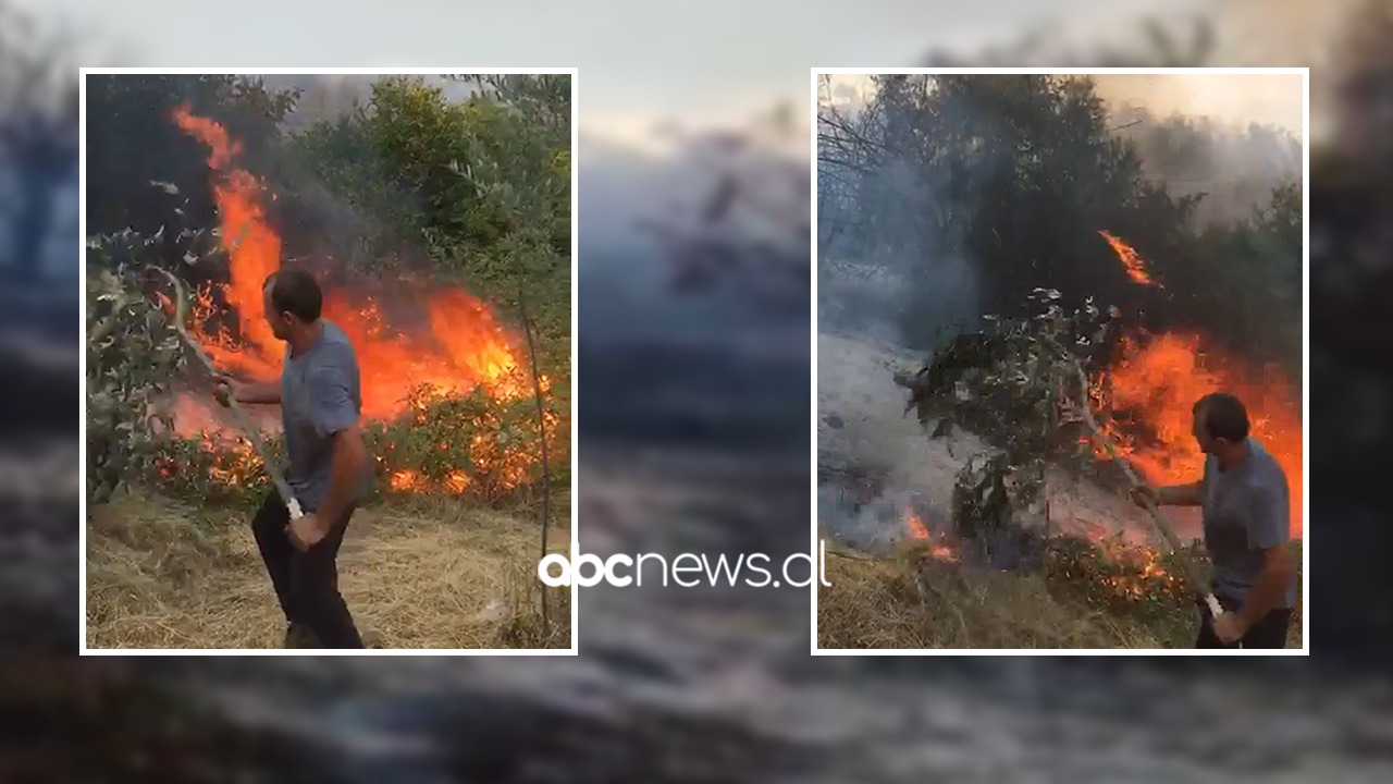 VIDEO/ Zjarri përfshin ullishten në Elbasan, banorët në luftë me flakët