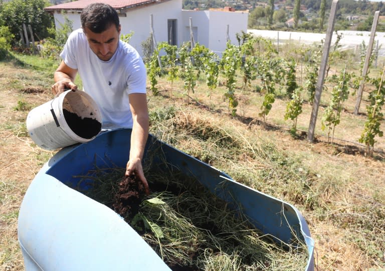 Fermeri shqiptarë i kthehet të shkuarës, kafe në vend të plehrave kimike, gjetje në kushte krize