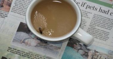 Anekdota e ditës, si reagojnë qytetarë të shteteve të ndryshme kur një mizë bie në kafe