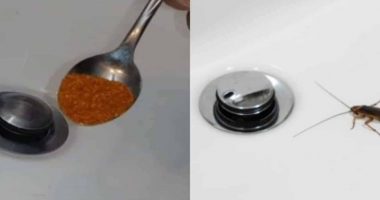 Buburreca në tualet? Mjafton një lugë nga kjo përzierje për t’i eliminuar njëherë e mirë