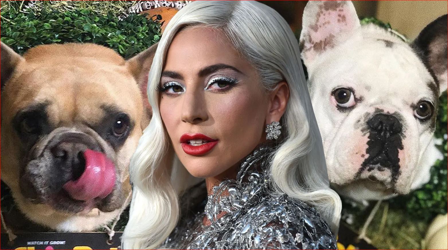 I vodhi qentë Lady Gagas, i riu dënohet me 4 vite burg