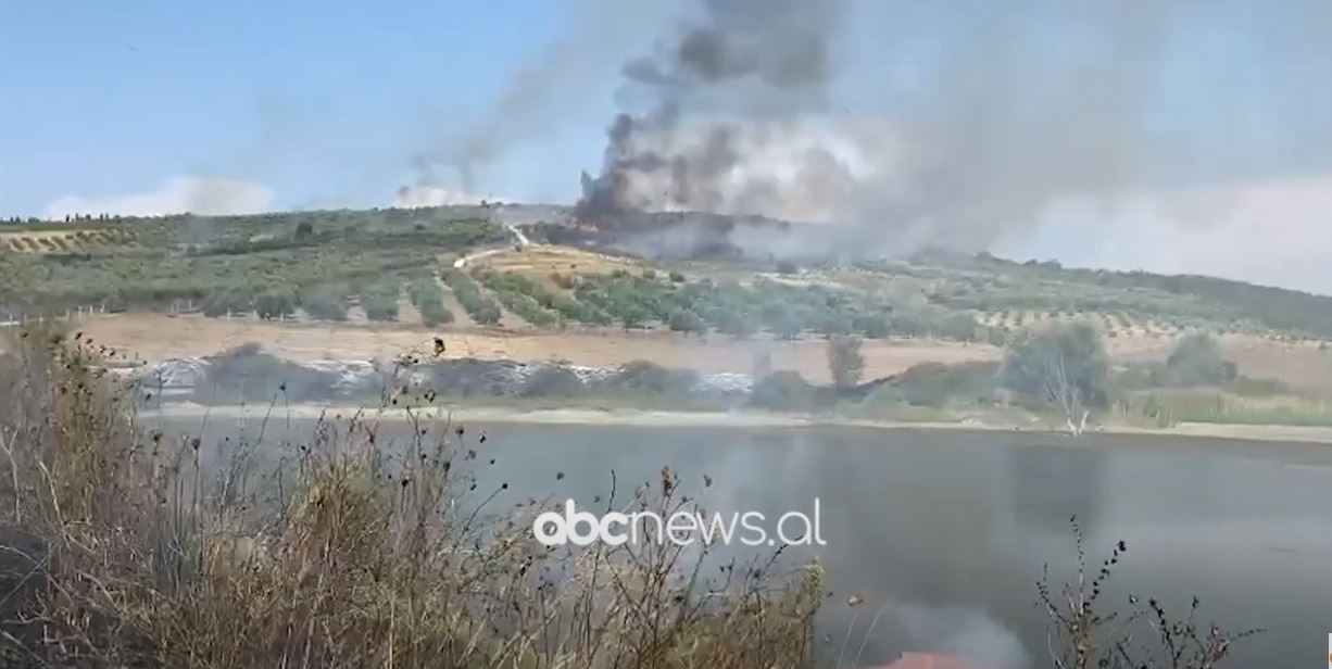 Zjarr në kodrat e Libofshës  në Fier,  zjarrfikësit në betejë me flakët