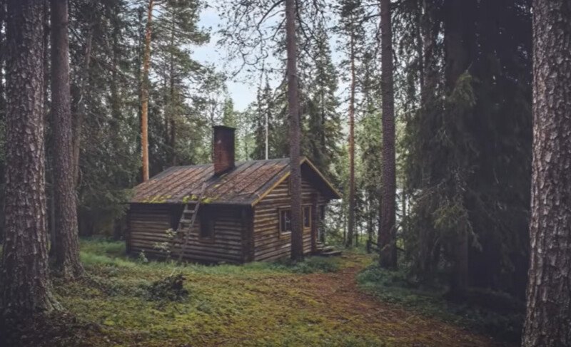 Iluzioni optik që vetëm 1 % e njerëzve mund ta zgjidhni. E gjeni dot ariun në foto?
