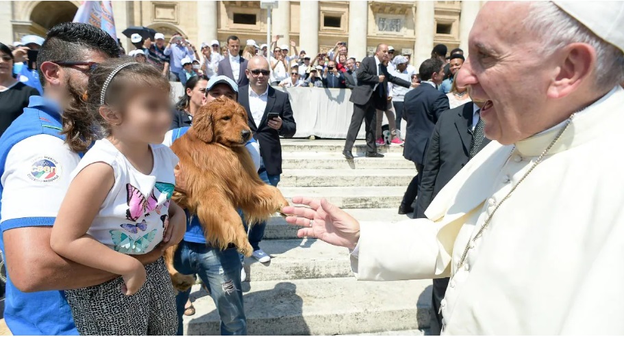 Papa Françesku kritikon çiftet e reja: Mbajnë qen dhe nuk duan fëmijë