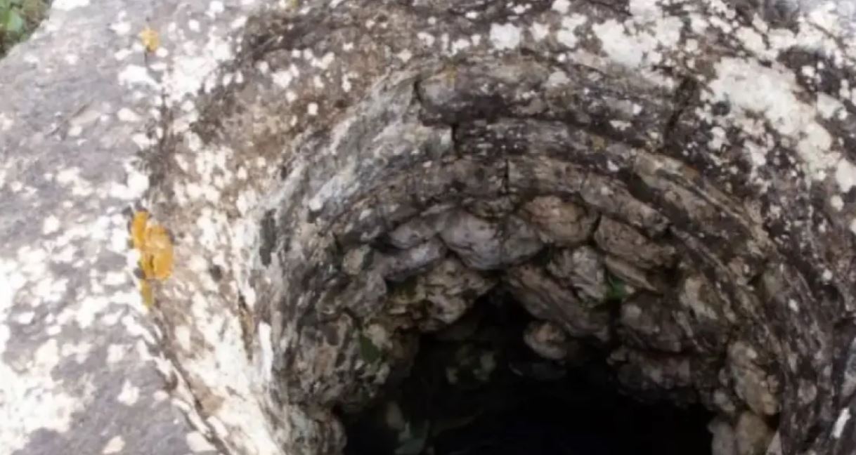 Shkon për të shpëtuar mbesën, gjyshja bie në pus bashkë me 4-vjeçaren