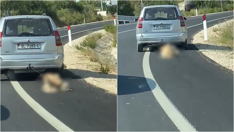 Pamje të rënda, shoferi lidh qenin pas makine dhe e tërheq zvarrë në Vlorë