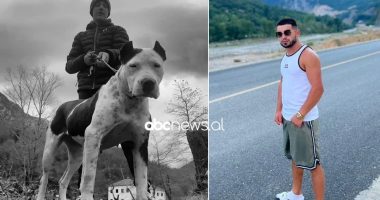 EMRI/ I vërsuli “Pit Bull-in” një qeni endacak, kapet nga policia i riu