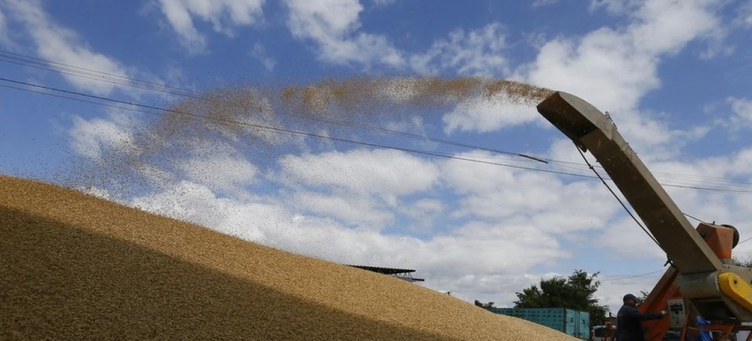 OKB: Më shumë se gjysmë milionë tone grurë janë eksportuar nga Ukraina