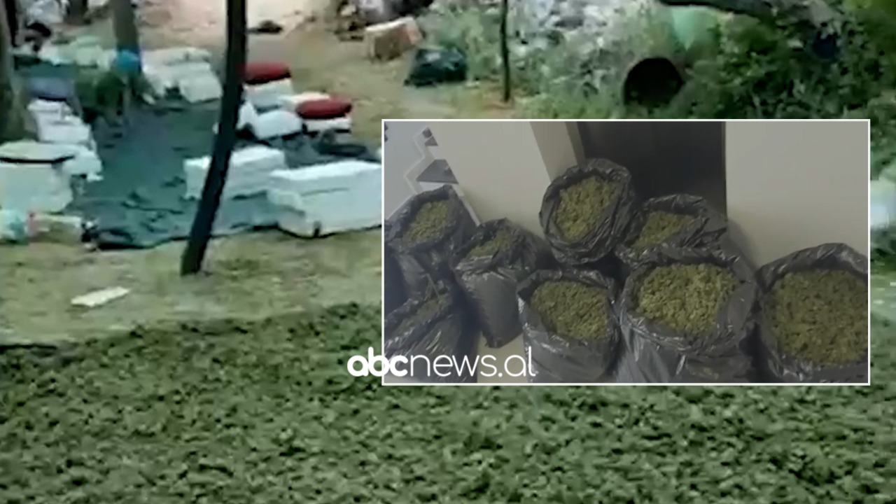 Mbushën Vallasin e Shkodrës me drogë, arrestohen edhe 2 vëllezër, 6 ende në kërkim