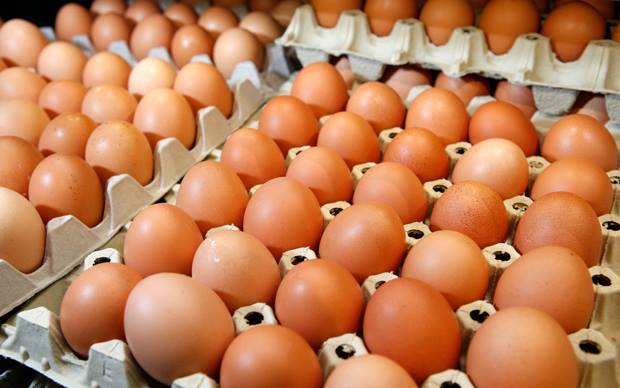 Shiste vezë të pakontrolluara në emër të markave të njohura, arrestohet pronari i pularisë në Shkodër