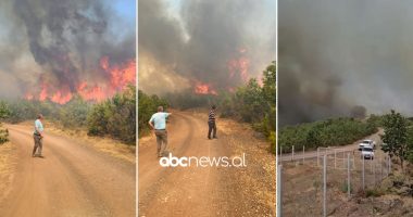 VIDEO/ Zjarr i madh në Mirditë, rrezikohen banesat dhe vreshtat