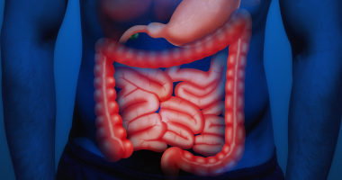 Abuzojmë shumë gjatë pushimeve, por mësoni dëmet e mëdha të ushqimeve “problematike” dhe alkoolit në zorrët tona
