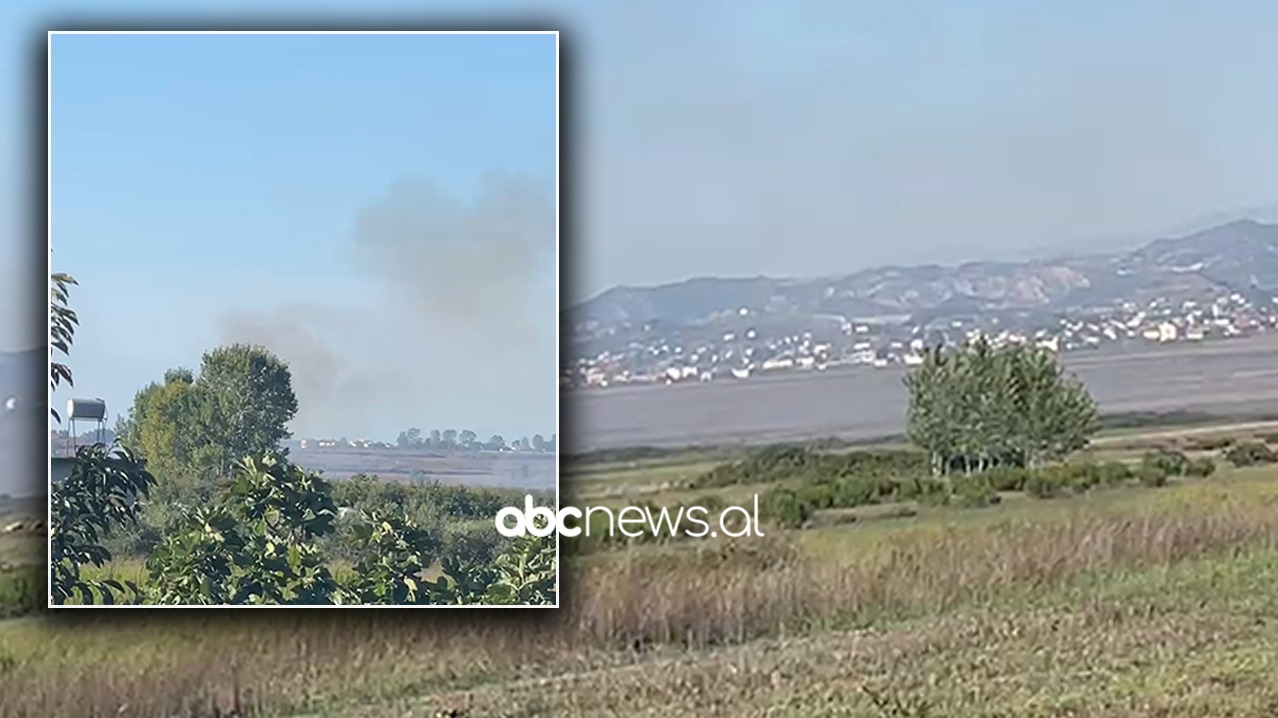 VIDEO/ Katastrofë mjedisore në Kavajë, qytetarët përballen me djegien e plehrave, Bashkia hesht