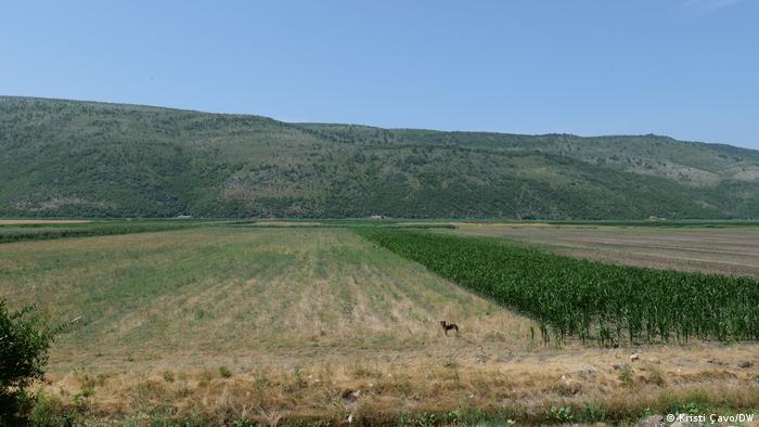 E vërteta e mosekzistencës së industrisë së energjisë së erës në Shqipëri