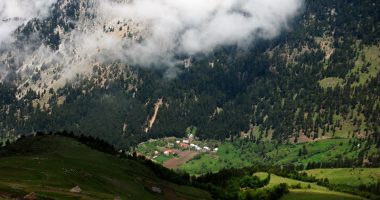 U nis për të mbledhur boronicë në bjeshkë, zhduket 23-vjeçari nga Kukësi