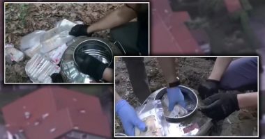 Policia aksion kundër mashtrimeve tatimore, gjenden të groposura mbi 4 milionë euro