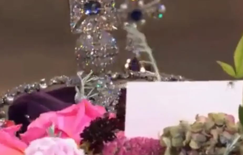 VIDEO/ Një merimangë bën “homazhe” mbi arkëmortin e Mbretëreshës Elizabeth, ecën mbi shënimin e Mbretit Charles