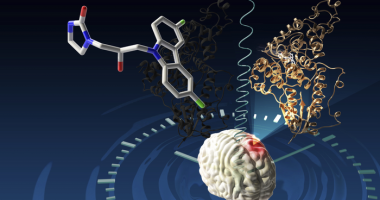 Fitore e madhe e njerëzimit, studiuesit gjejnë ilaçin që mund të kurojë tumorin e trurit