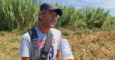 “Për të tjerët është punë e turpshme”, fermeri në Fier siguron të ardhura nga mbledhja e ferrave: Begati për familjen