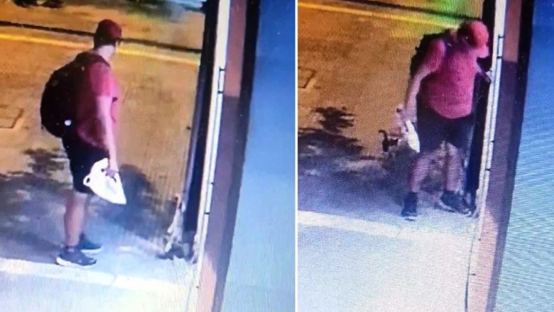 Vrau kotelen, 3 mijë euro shpërblim për të gjetur autorin