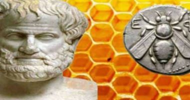 5 veti të mrekullueshme që grekët e lashtë i dinin për mjaltin, e treta është thelbësore për çdo grua shtatzënë