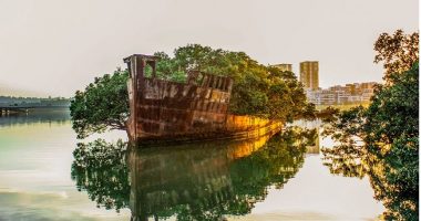 Si një anije e Luftës së Dytë Botërore u shndërrua në një pyll lundrues