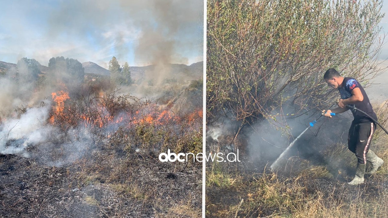 Digjen 5 hektarë tokë në Baban të Devollit, zjarri dyshohet i qëllimshëm