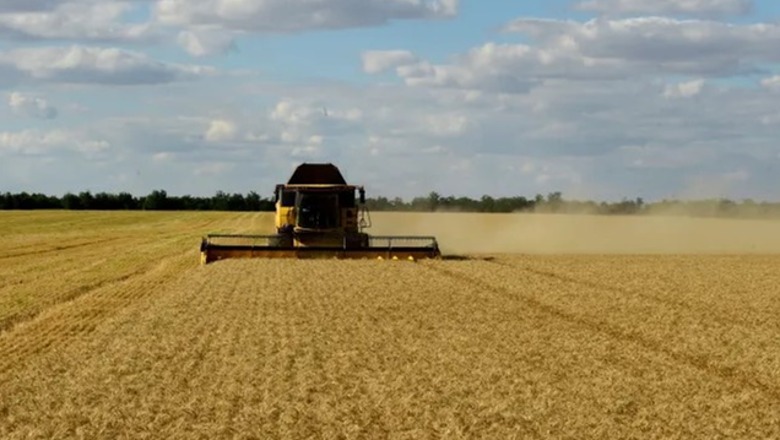 Rusia: Vetëm 3% e grurit të eksportuar nga Ukraina ka arritur në vendet e varfra
