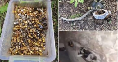 Zbulohen tmerret ruse në Ukrainë: Të varrosur për së gjalli dhe me dhembë të shkulur