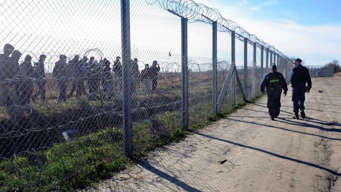 Policia greke godet rrjetin e transportit të migrantëve drejt Shqipërisë