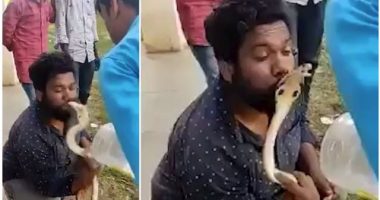 VIDEO/ Po e puthte për të bërë foto, kobra kafshon burrin në buzë