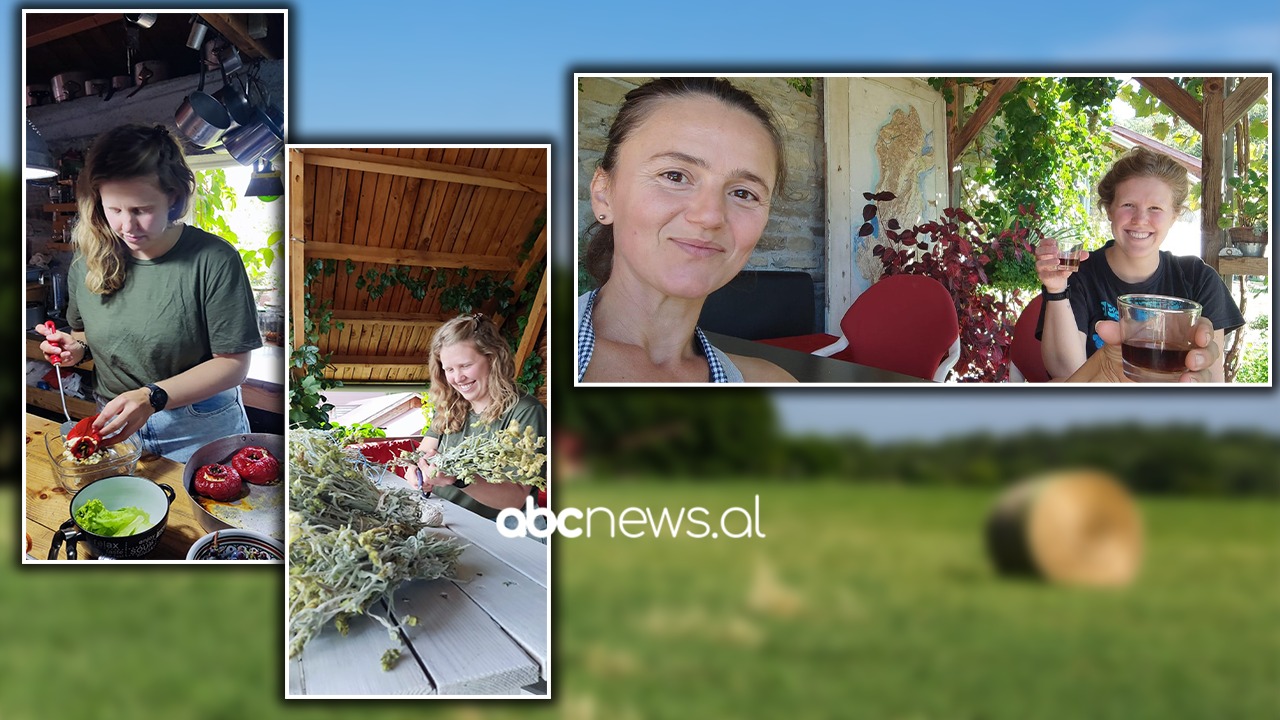S’gjen punonjës për fermën, sipërmarrësja në Ballaban strehon vullnetaren islandeze pa pagesë