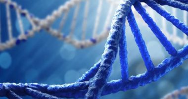 Ne jemi produkt i gjeneve, edukimit dhe ndoshta edhe i rastësisë