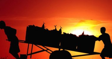 Çfarë na motivon më shumë, paraja apo pasioni?