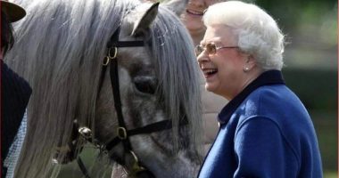 Mbreti Charles nxjerr 12 kuajt e garës së Elizabeth në ankand