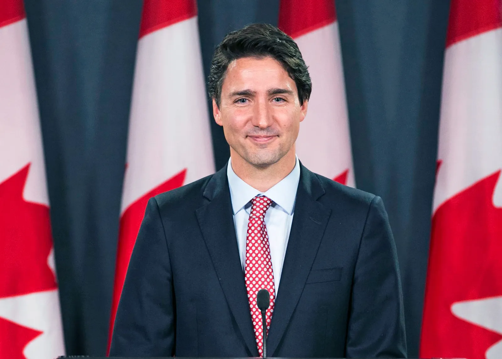 Kanadaja po çarmatoset, Kryeministri njofton ndalimin e shitjeve të armëve