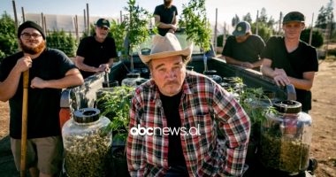 Jim Belushi: Shqipëria duhet të legalizojë kanabisin farmaceutik