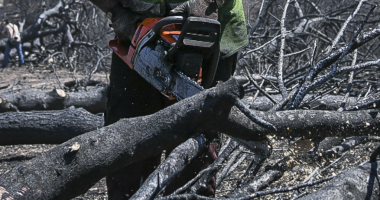DETAJE/ U gjet me fyt të prerë në një fushë në Greqi, si humbi jetën 35-vjeçari duke prerë dru