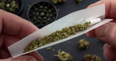 Gjermania planifikon të legalizojë kanabisin për përdorim jomjekësor
