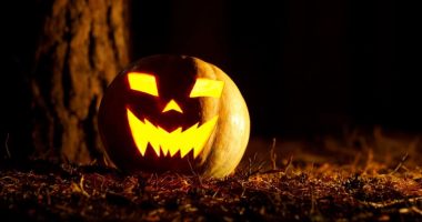 Historia e vërtetë e kungujve të Halloween, pse janë simboli i festës së famshme
