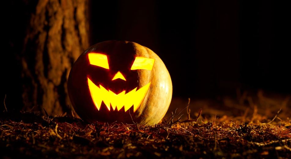 Historia e vërtetë e kungujve të Halloween, pse janë simboli i festës së famshme