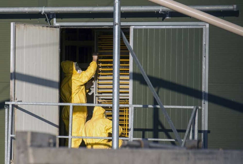 Gripi i shpendëve përhapet në Holandë, autoritetet do të asgjësojnë gati 30 mijë pula