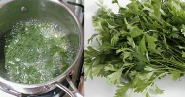 Kjo pije ju pastron veshkat