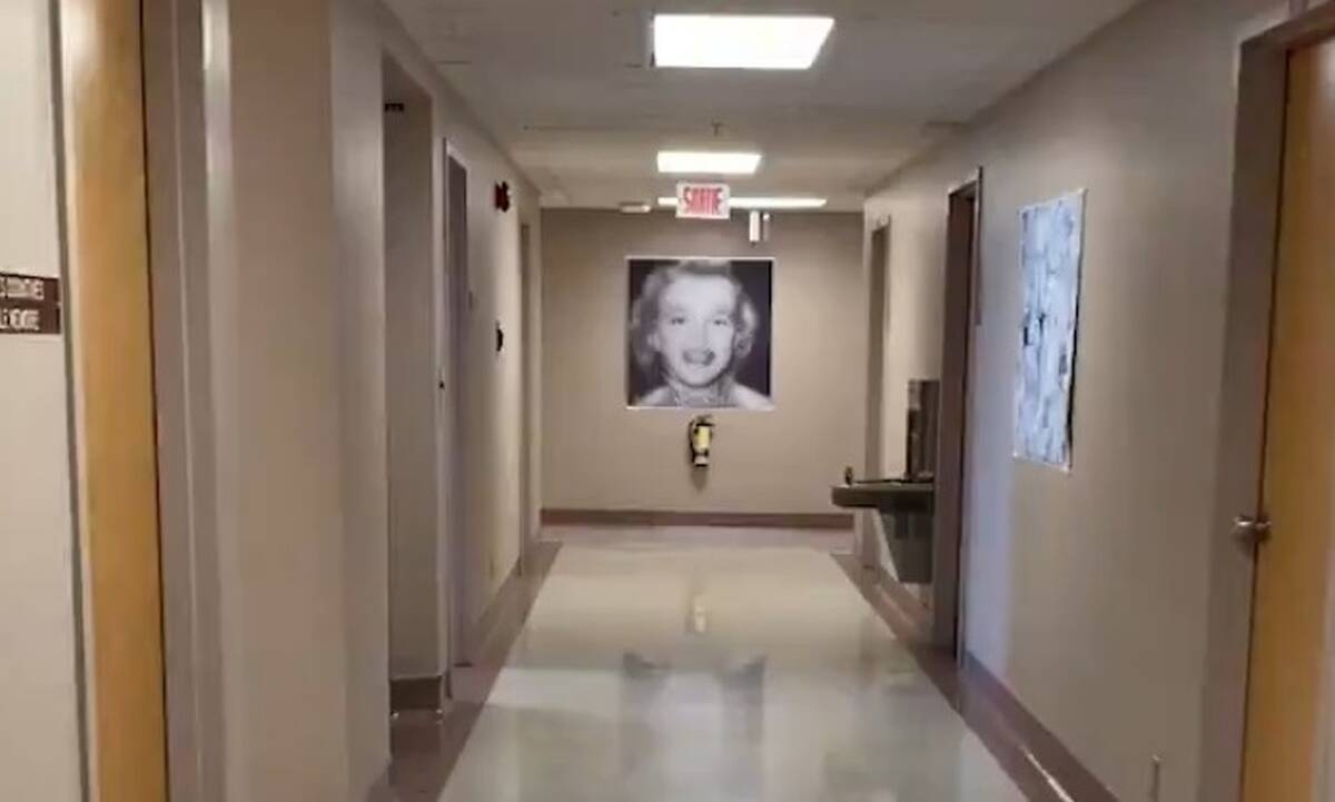 Iluzion optik/ A shihni një vajzë në tabelë? E vërteta do t’ju lërë gojëhapur