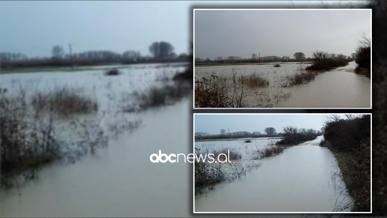 Përmbytjet në vend, 20 banesa të rrethuara nga uji në Murqinë dhe Mallkuç
